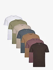 Hollister - HCo. GUYS KNITS - short-sleeved t-shirts - wht/blck/gry/blue/grn/prpl/tan - 0