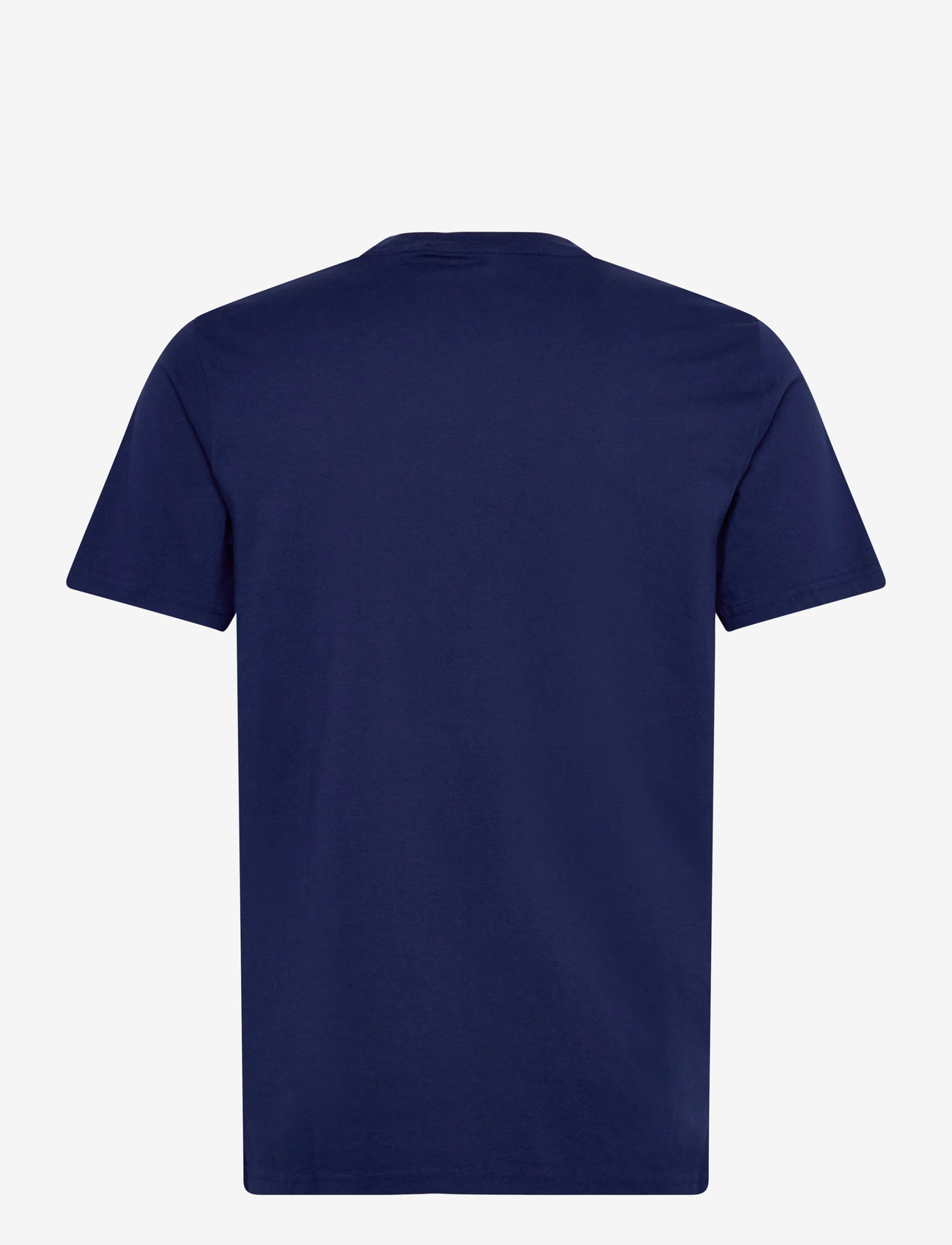Hollister - ICON CREW KNIT T SHIRT - sügisesed riided - 200 - 1