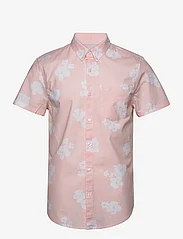 Hollister - HCo. GUYS WOVENS - overhemden met korte mouw - tan floral - 0