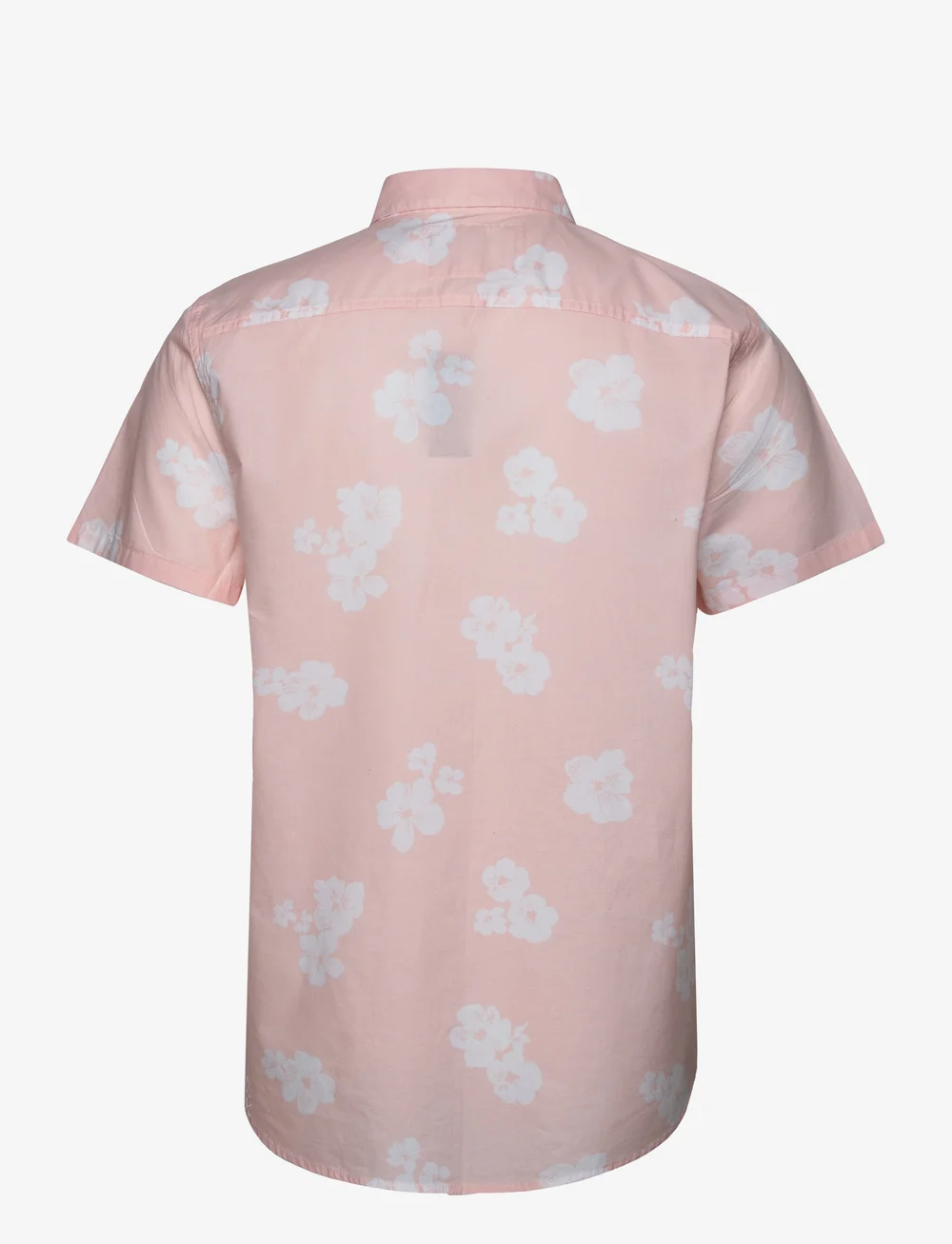 Hollister Hco. Guys Wovens shirts shop at Booztlet