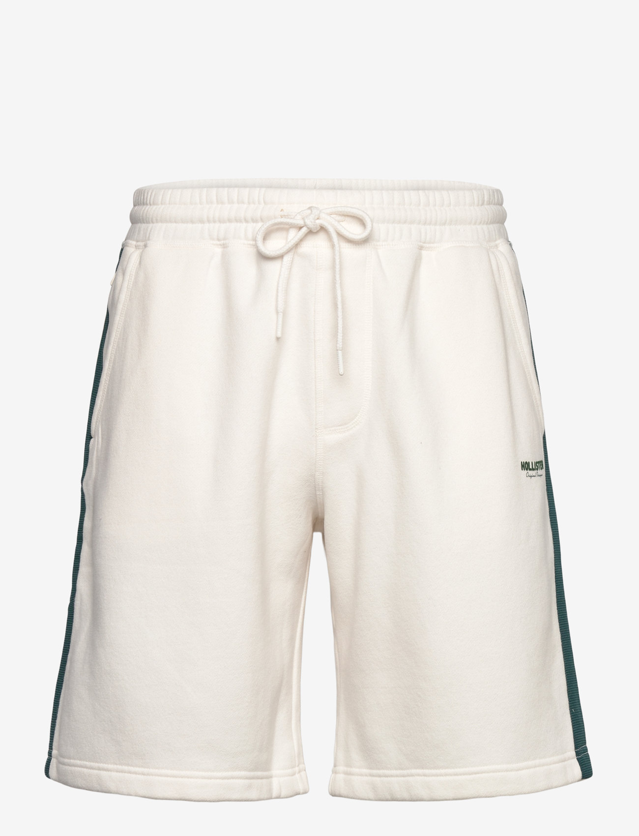 Hollister - HCo. GUYS SHORTS - arctic wolf/sea moss - 0