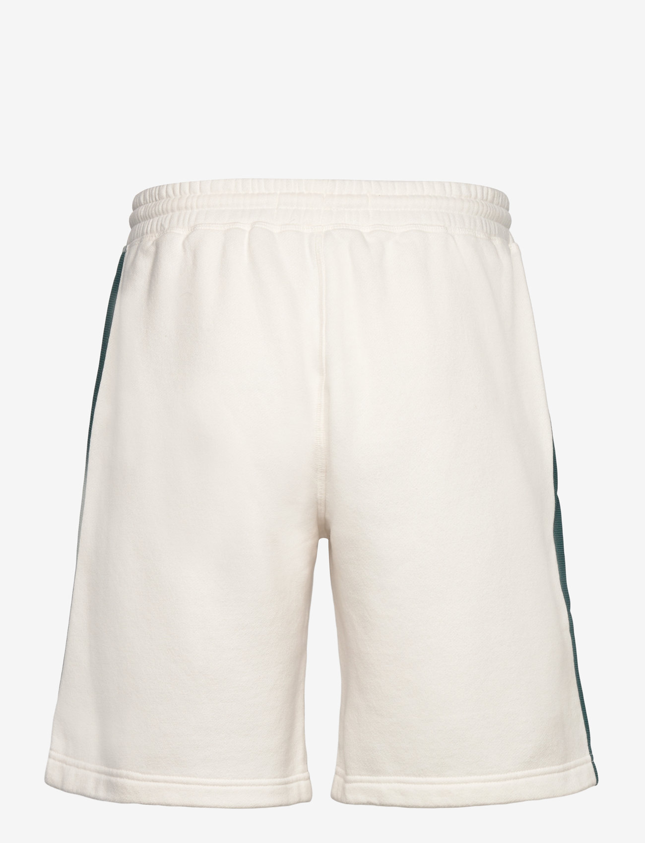 Hollister - HCo. GUYS SHORTS - arctic wolf/sea moss - 1