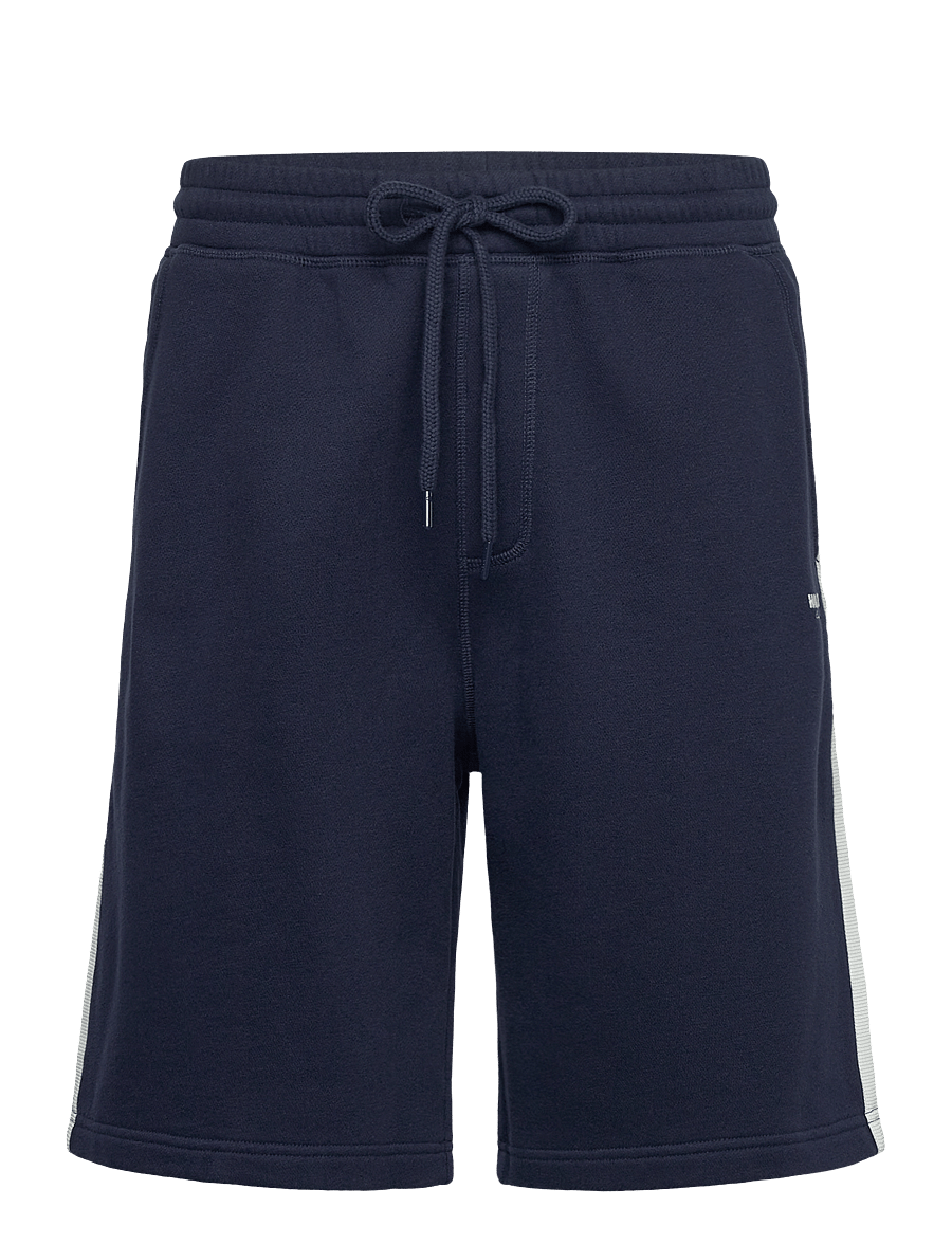 Hollister - HCo. GUYS SHORTS - navy blazer/arctic wolf - 0