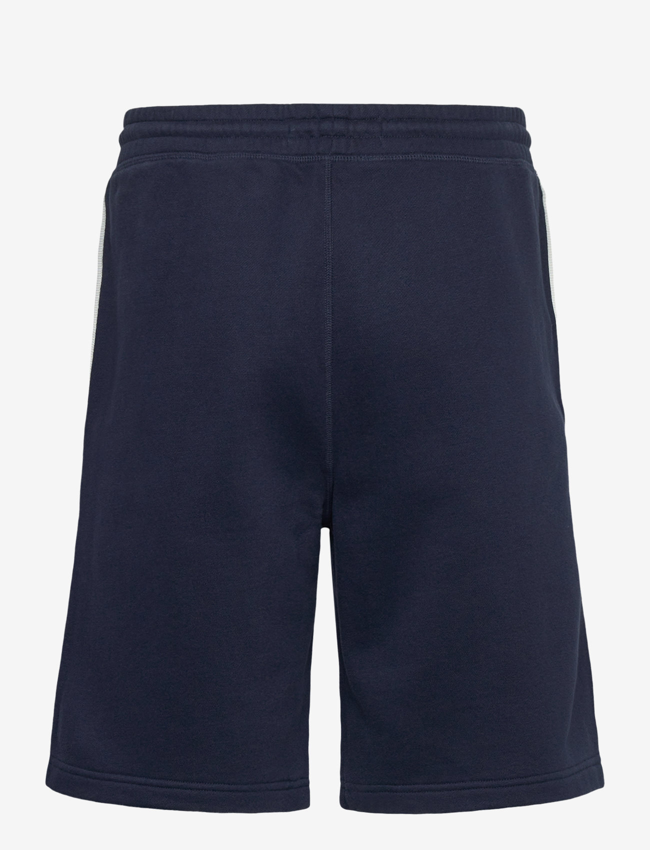 Hollister - HCo. GUYS SHORTS - treninginiai šortai - navy blazer/arctic wolf - 1