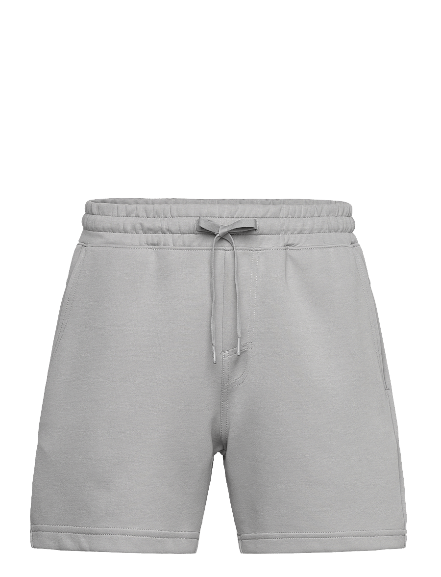 Hollister - HCo. GUYS SHORTS - alloy - 0