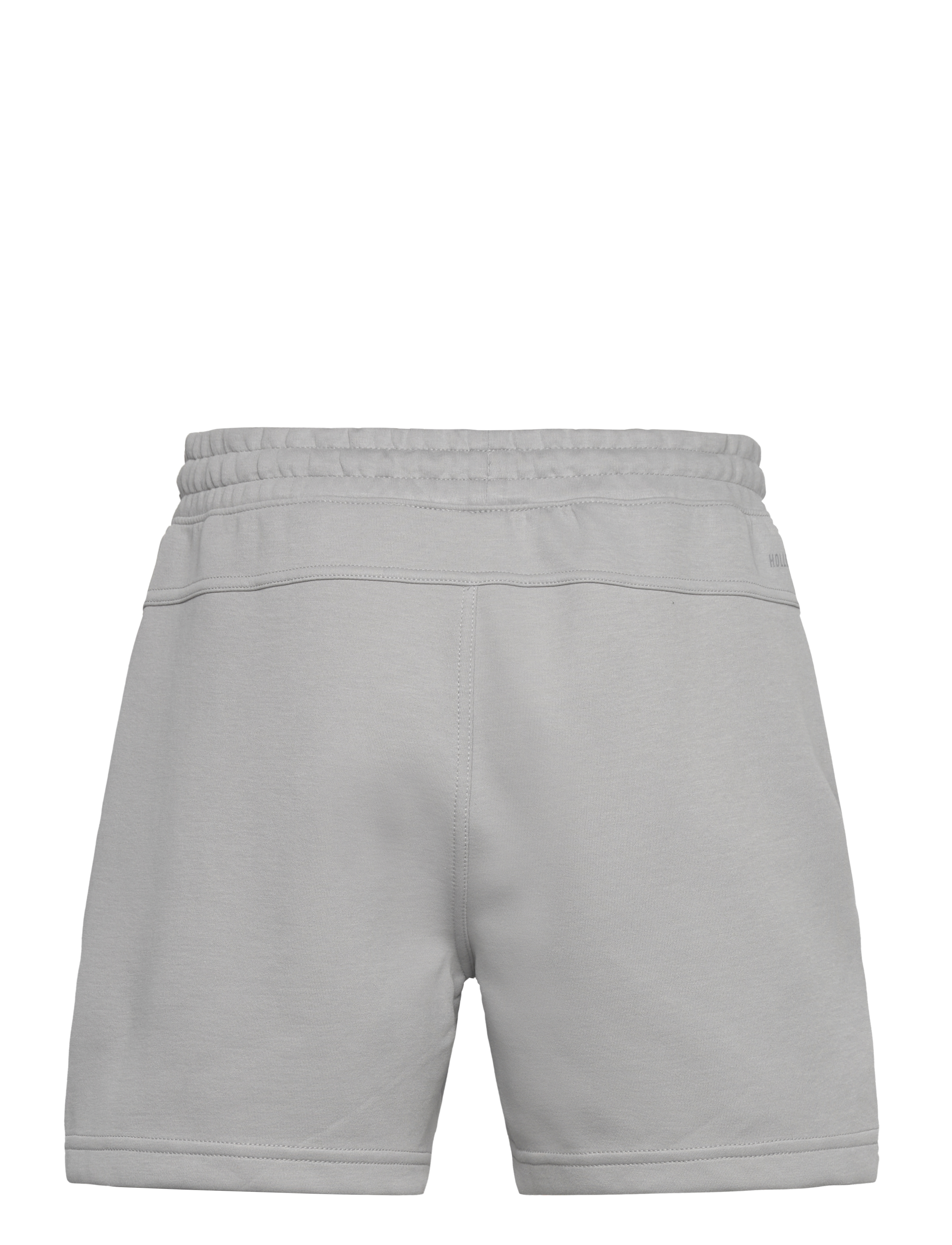 Hollister - HCo. GUYS SHORTS - alloy - 1