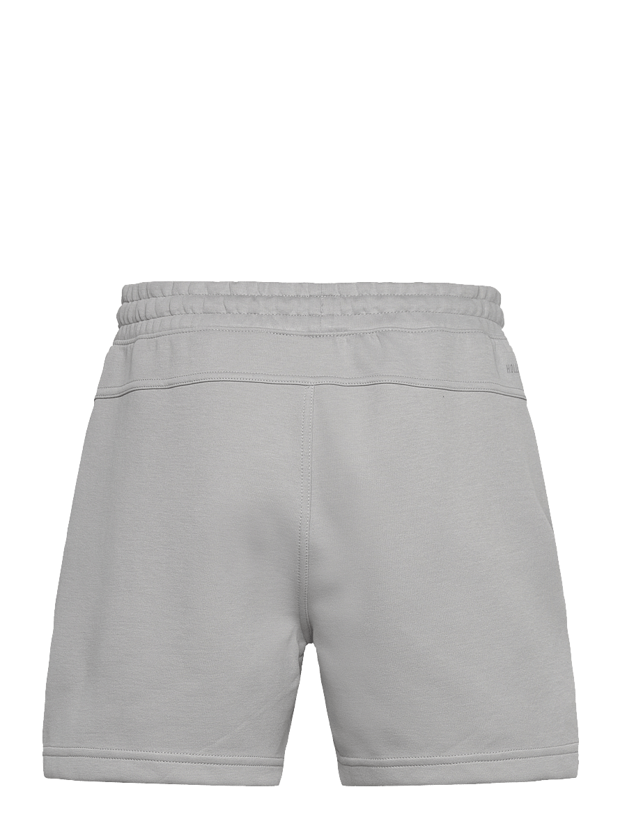 Hollister - HCo. GUYS SHORTS - alloy - 1