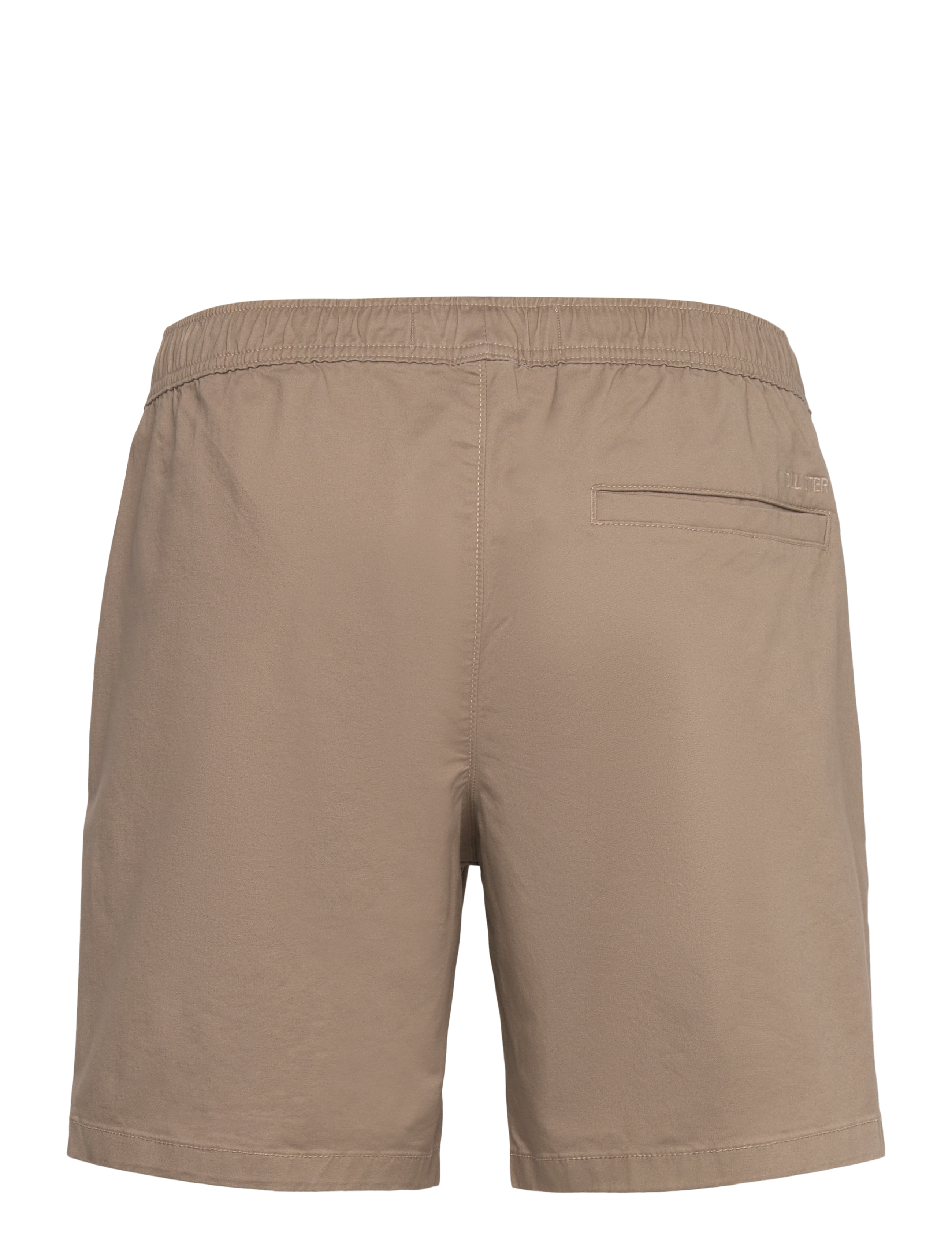 Hollister - HCo. GUYS SHORTS - casual shorts - fallen rock - 1