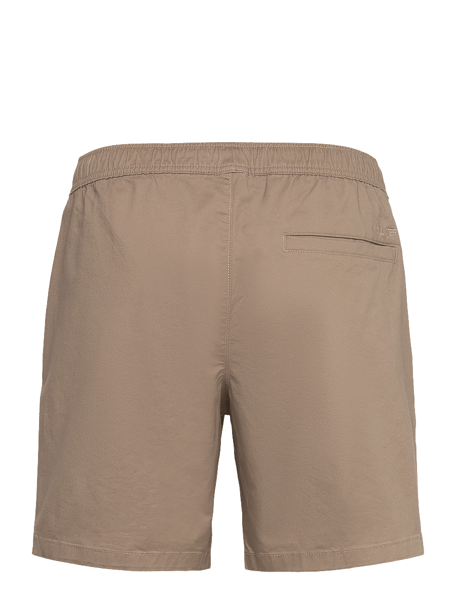 Hollister - HCo. GUYS SHORTS - casual shorts - fallen rock - 1