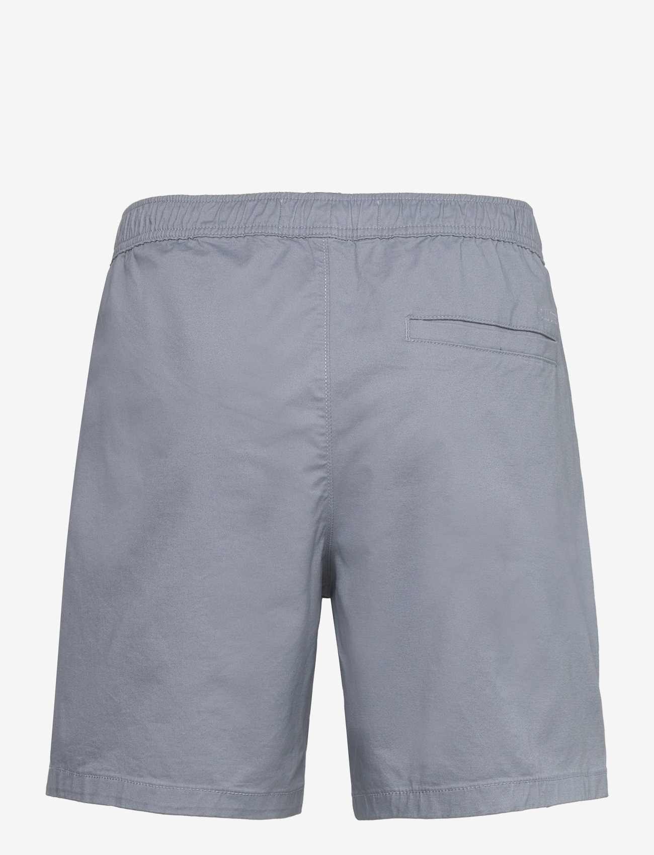Hollister - HCo. GUYS SHORTS - casual shorts - tradewinds - 1