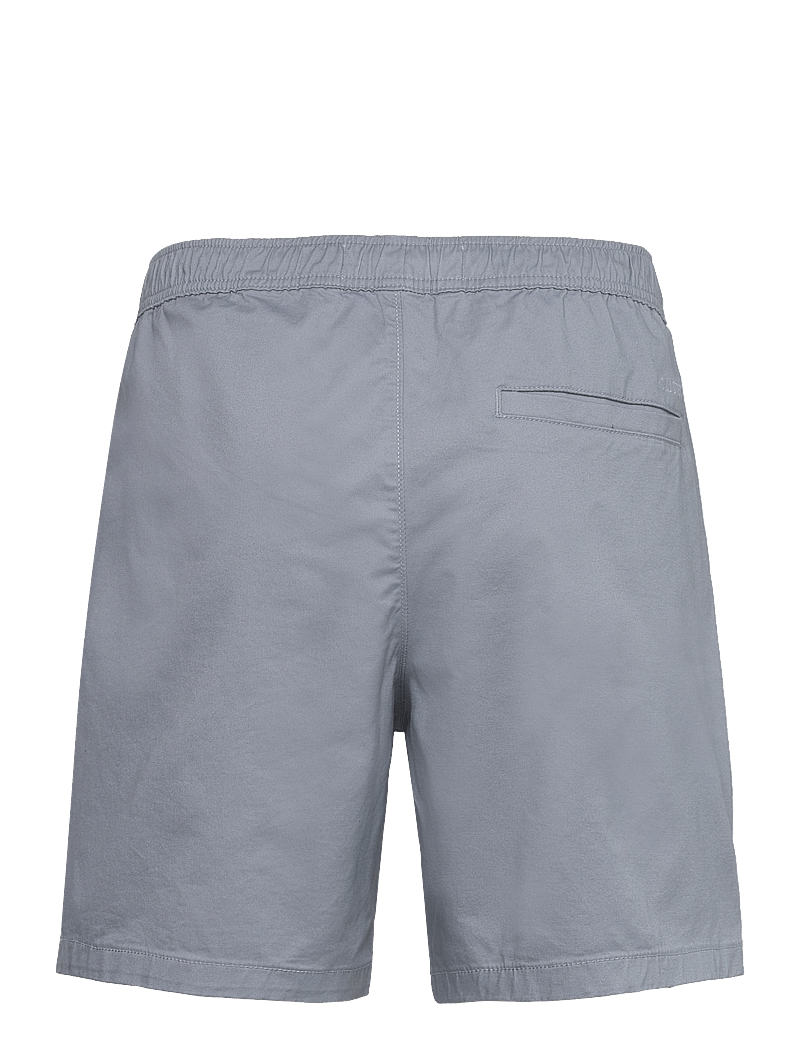 Hollister - HCo. GUYS SHORTS - casual shorts - tradewinds - 1