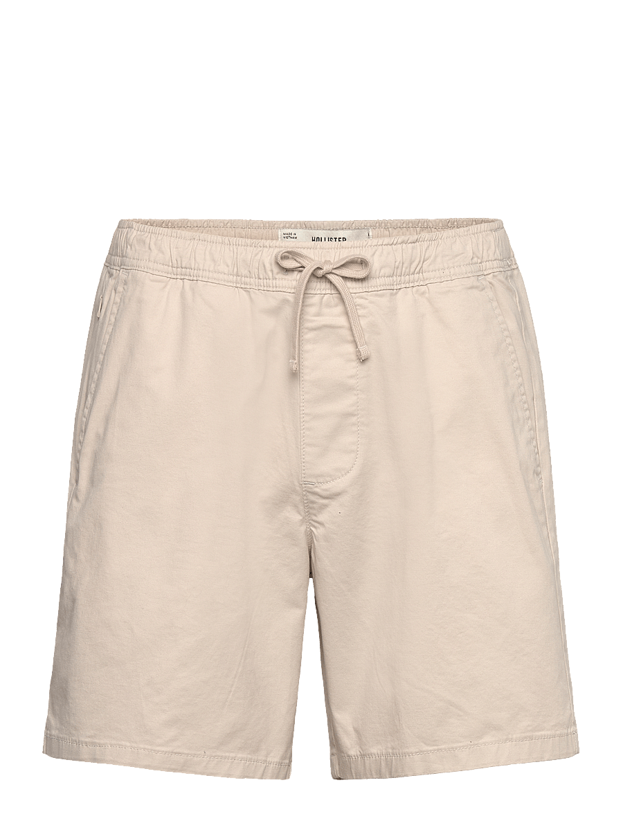 Hollister - HCo. GUYS SHORTS - casual shorts - pelican - 0