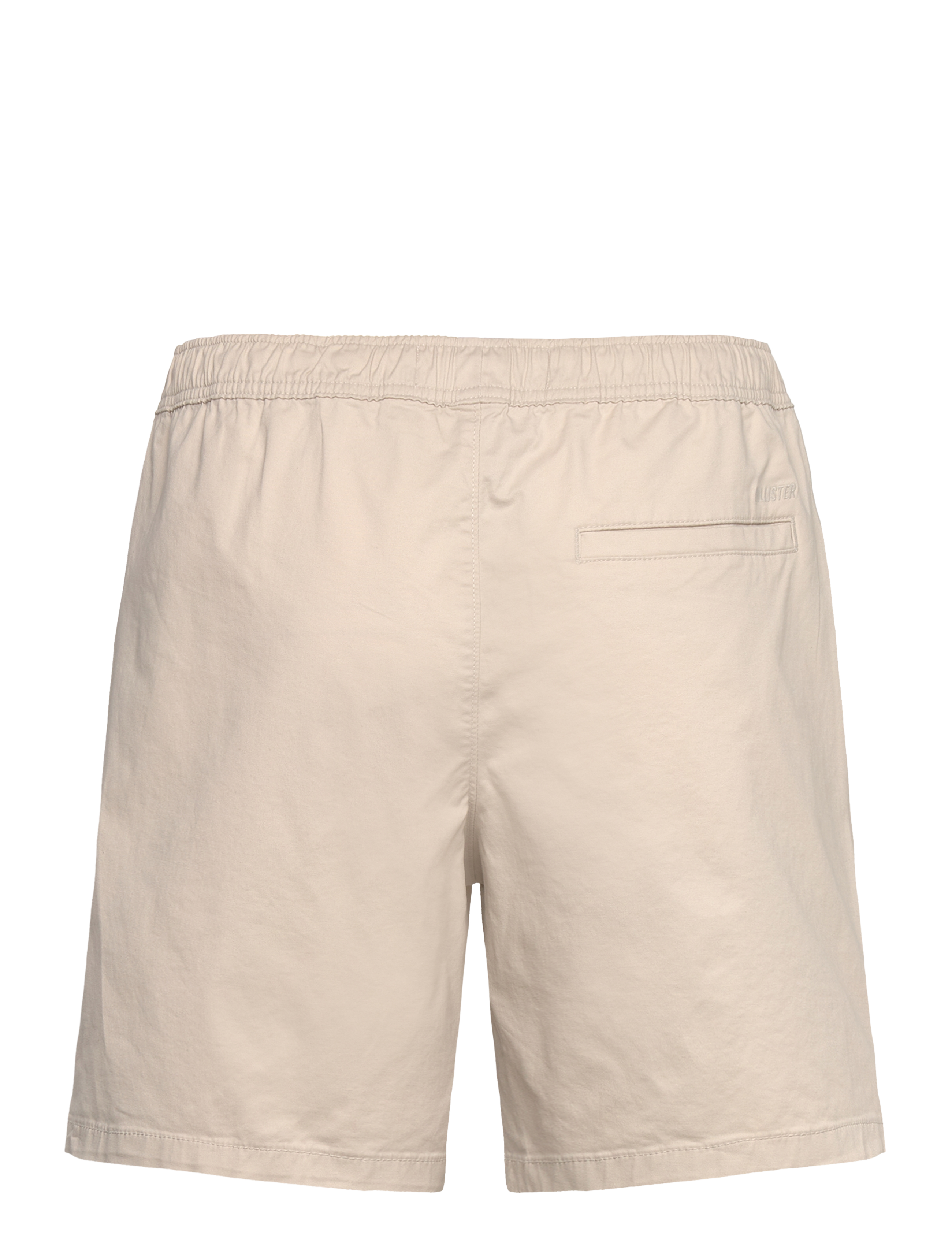 Hollister - HCo. GUYS SHORTS - casual shorts - pelican - 1