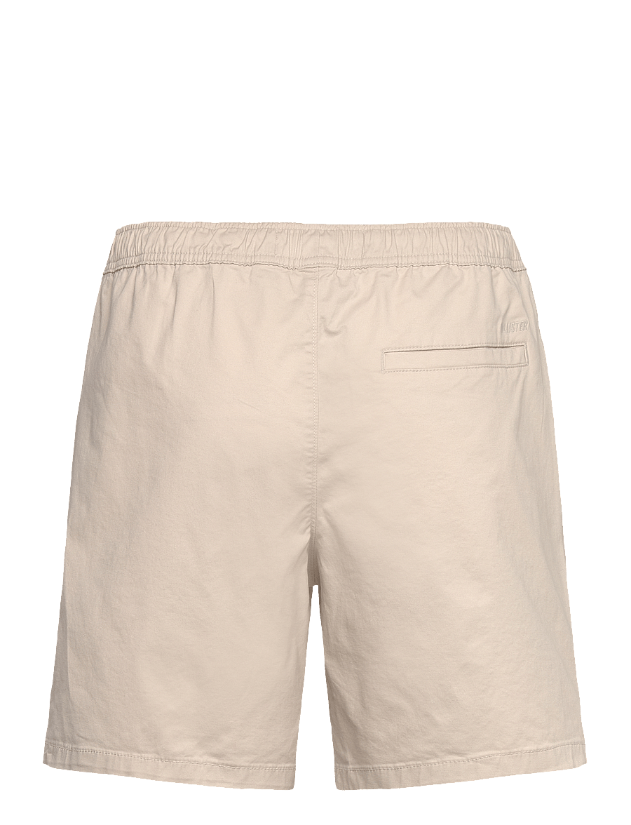 Hollister - HCo. GUYS SHORTS - casual shorts - pelican - 1