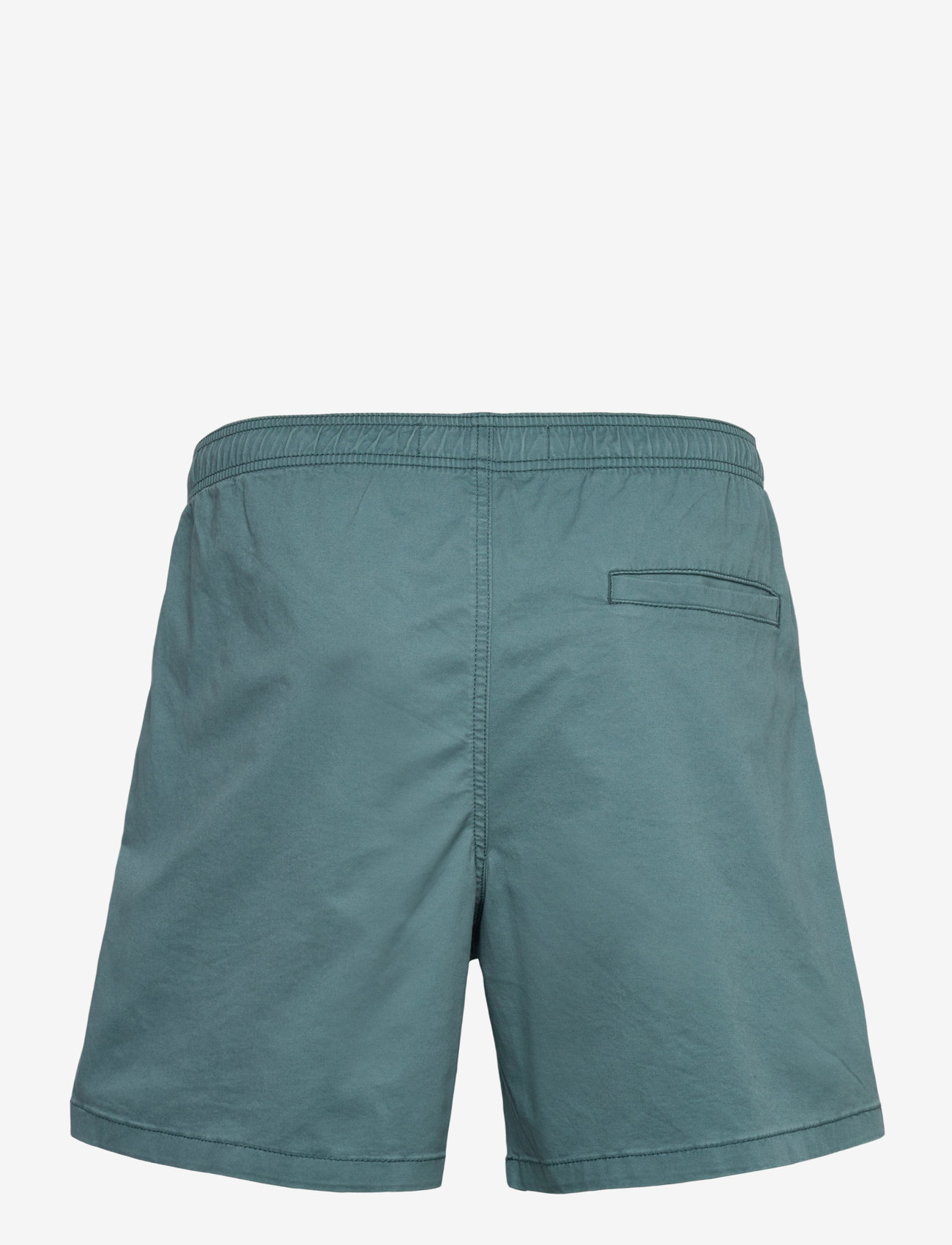 Hollister - HCo. GUYS SHORTS - casual shorts - north atlantic - 1