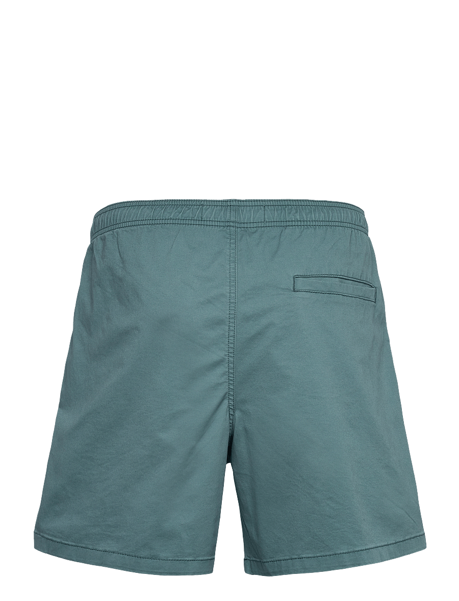 Hollister - HCo. GUYS SHORTS - short décontracté - north atlantic - 1
