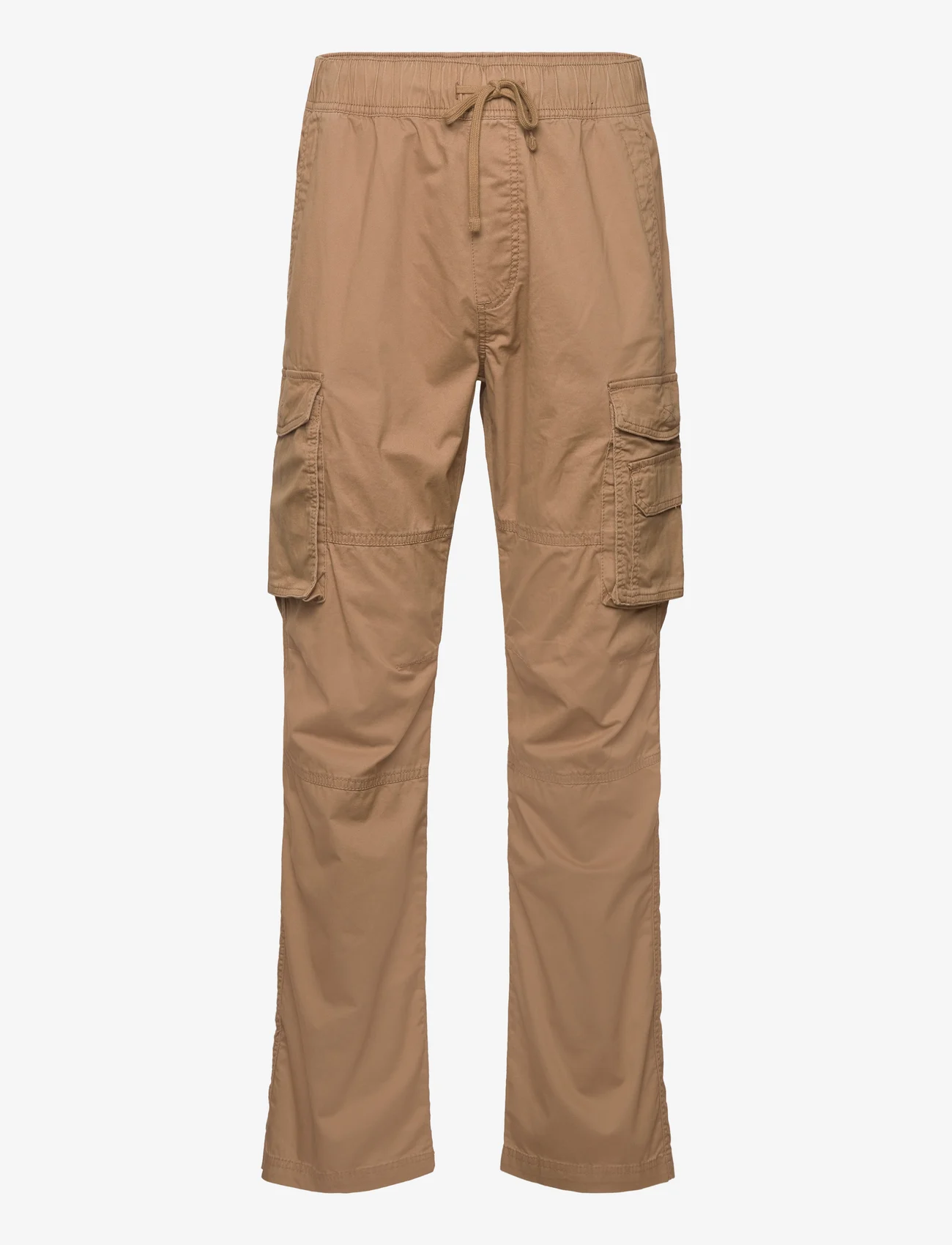 Hollister - HCo. GUYS PANTS - cargo pants - ermine - 0