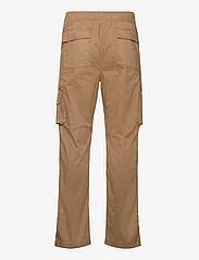 Hollister - HCo. GUYS PANTS - cargo pants - ermine - 1