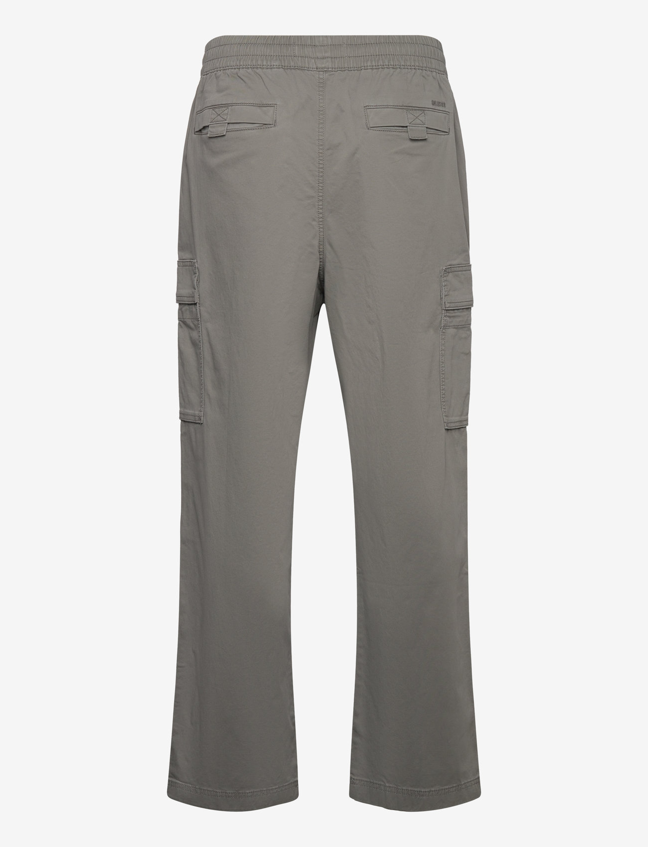Hollister Guys Pants (HRWKI330-4149) Cargo pants