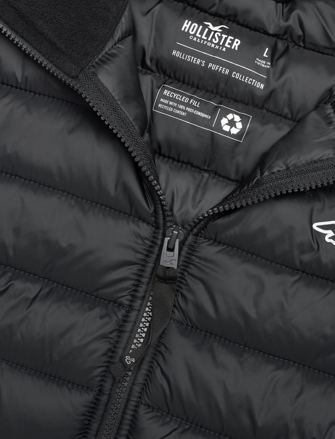 Hollister discount men jacket