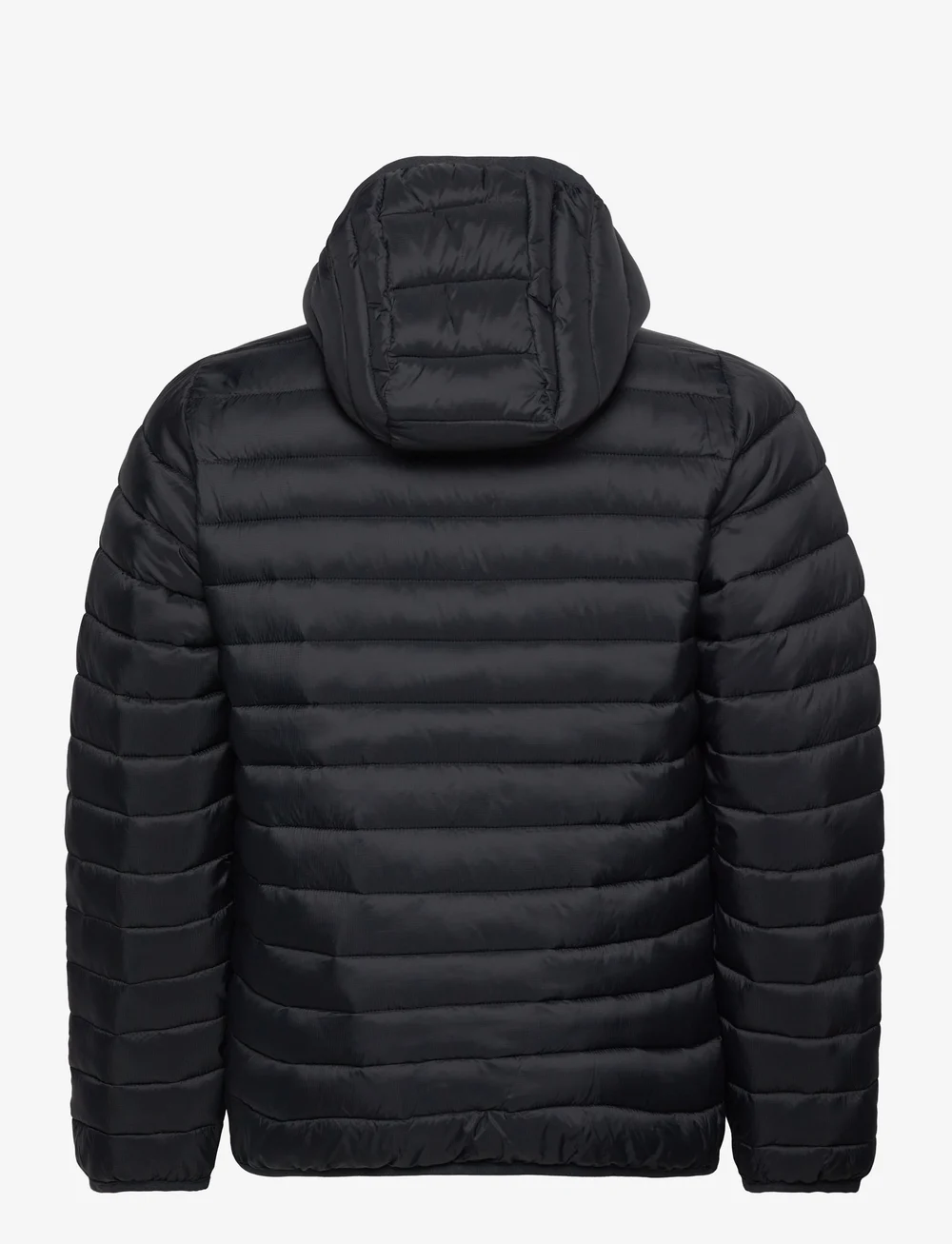 Hollister mens winter on sale jackets