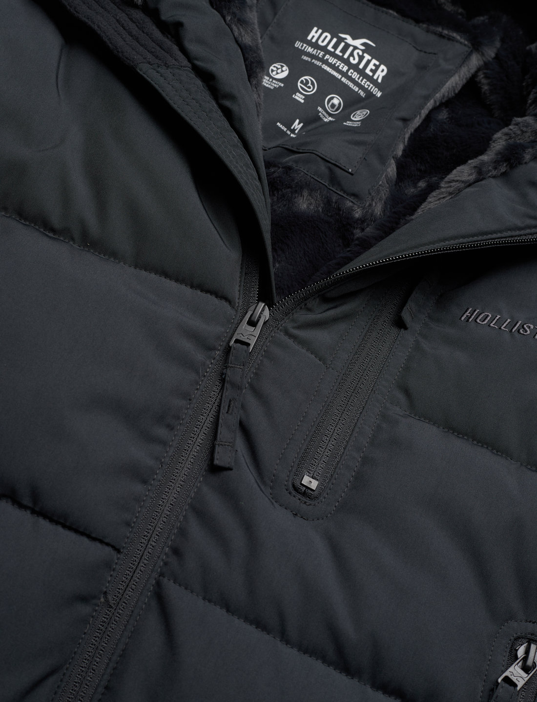 Hollister windbreaker guys sales