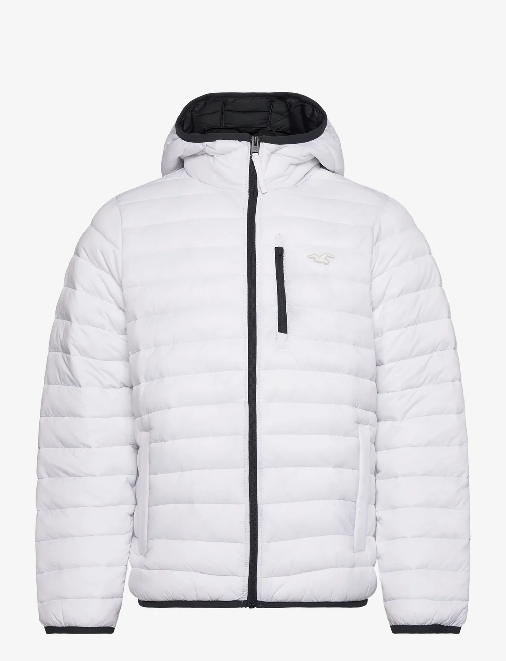 Hollister mens on sale jackets sale