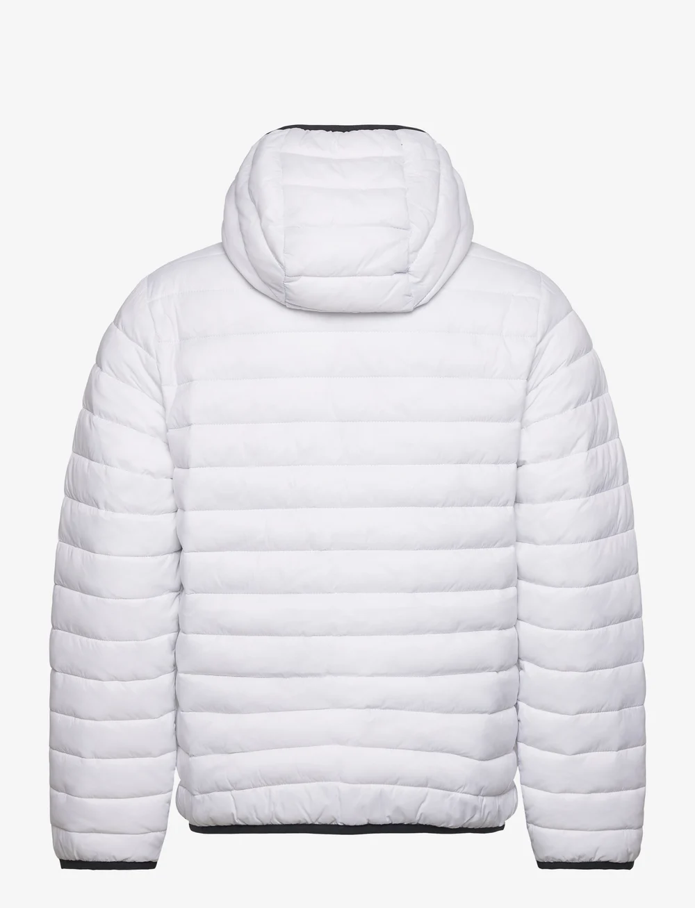 Hollister white coat deals