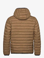 Hollister - HCo. GUYS OUTERWEAR - talvejoped - brown - 1