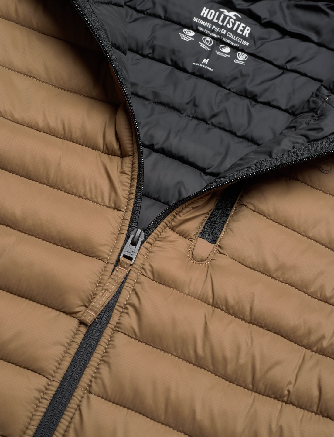 Hollister 2025 guys jackets