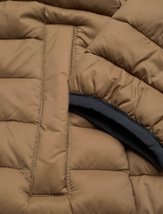 Hollister - HCo. GUYS OUTERWEAR - winter jackets - brown - 3