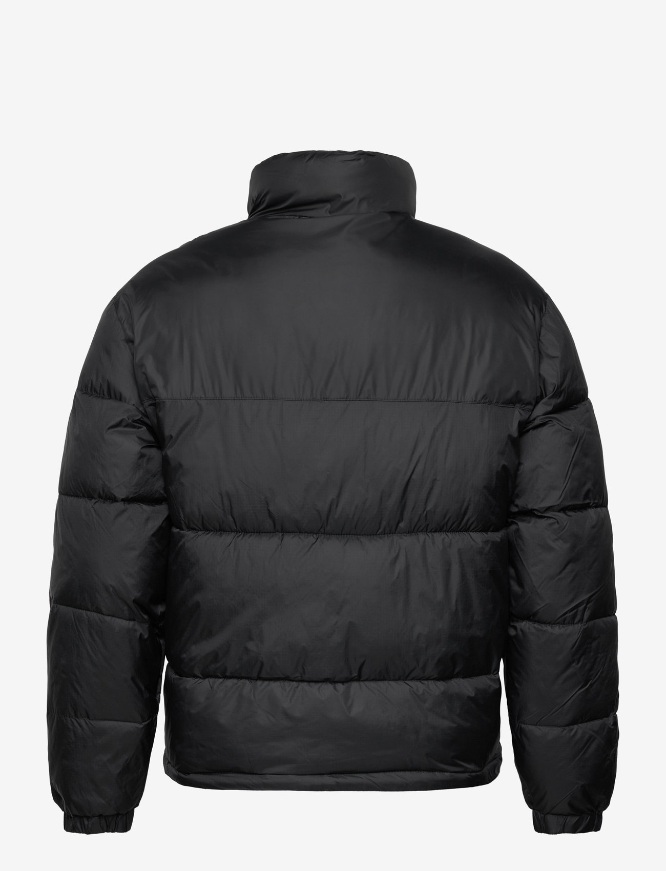 Hollister - HCo. GUYS OUTERWEAR - black beauty - 1