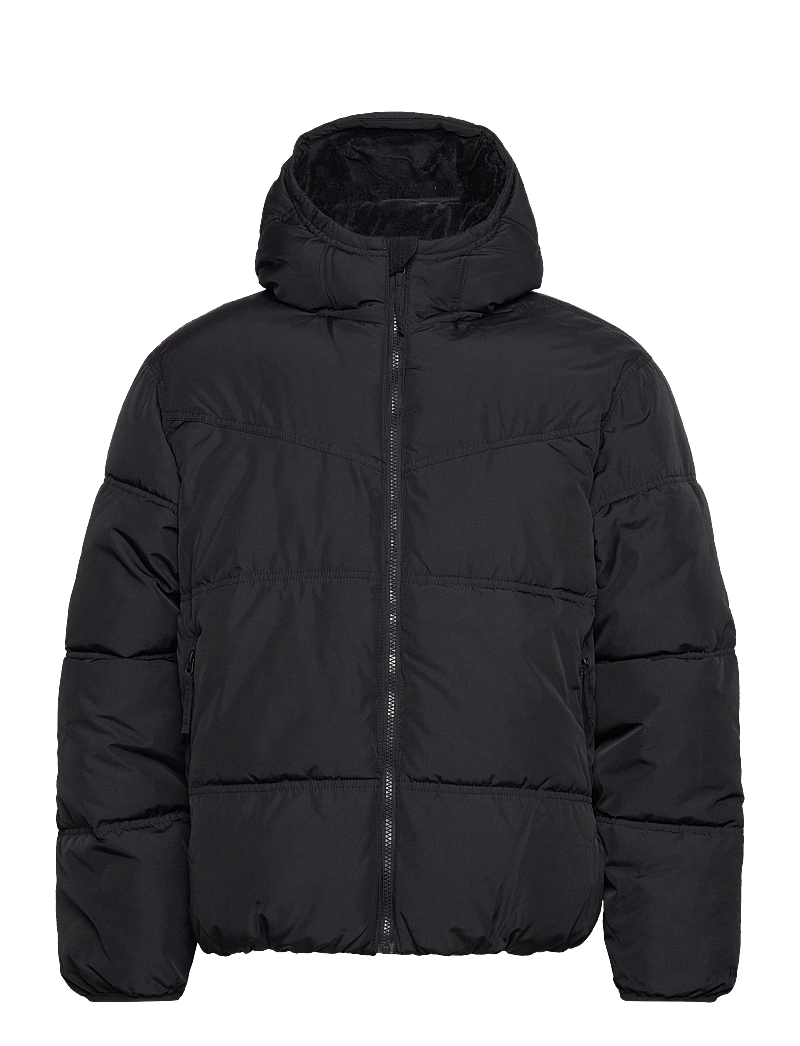 Hollister Guys Outerwear Kaufen Sie Daunenjacken von Hollister online unter Schnelle Lieferung und einfache
