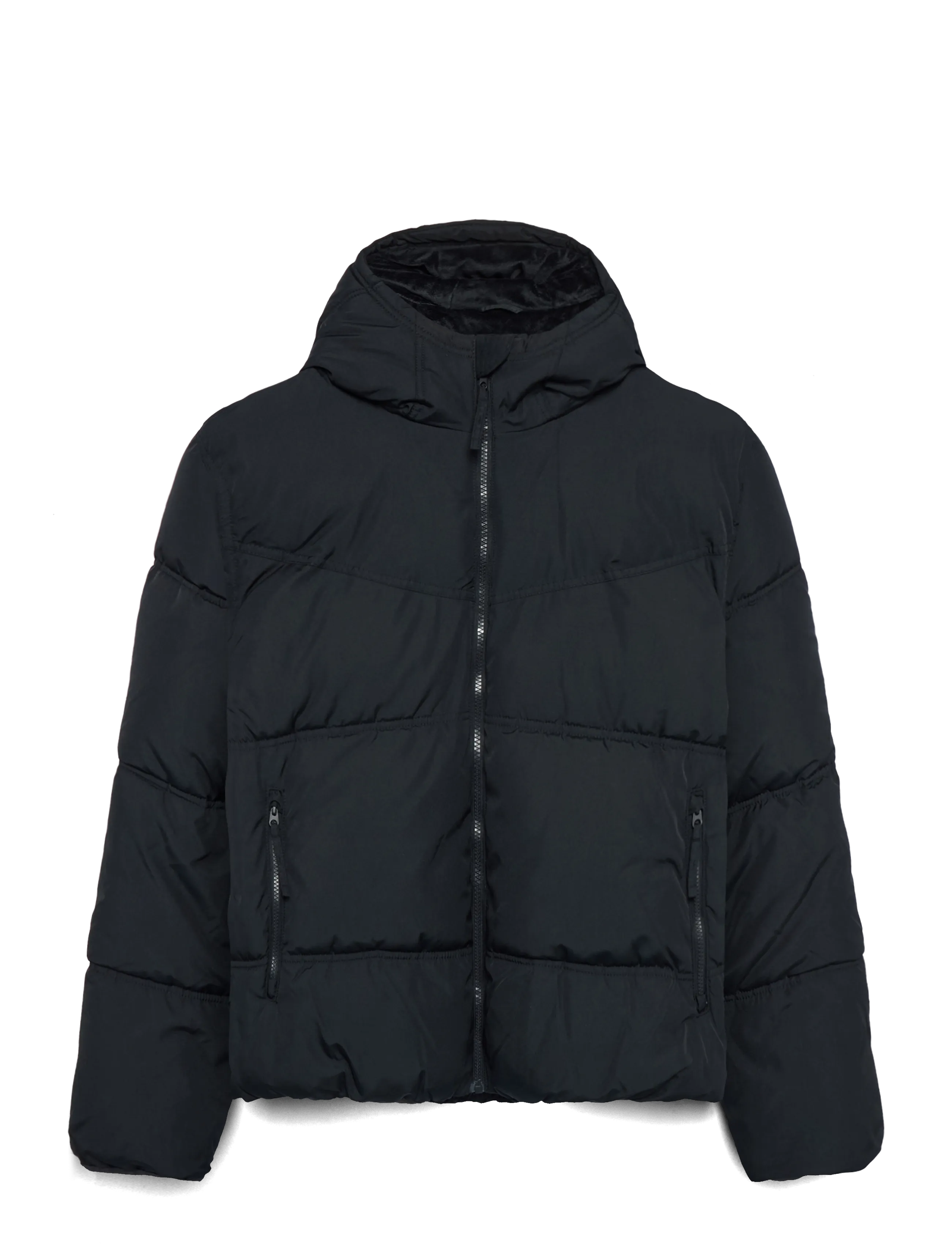 Hollister HCo. GUYS OUTERWEAR - Jackets & Coats - BLACK BEAUTY / black