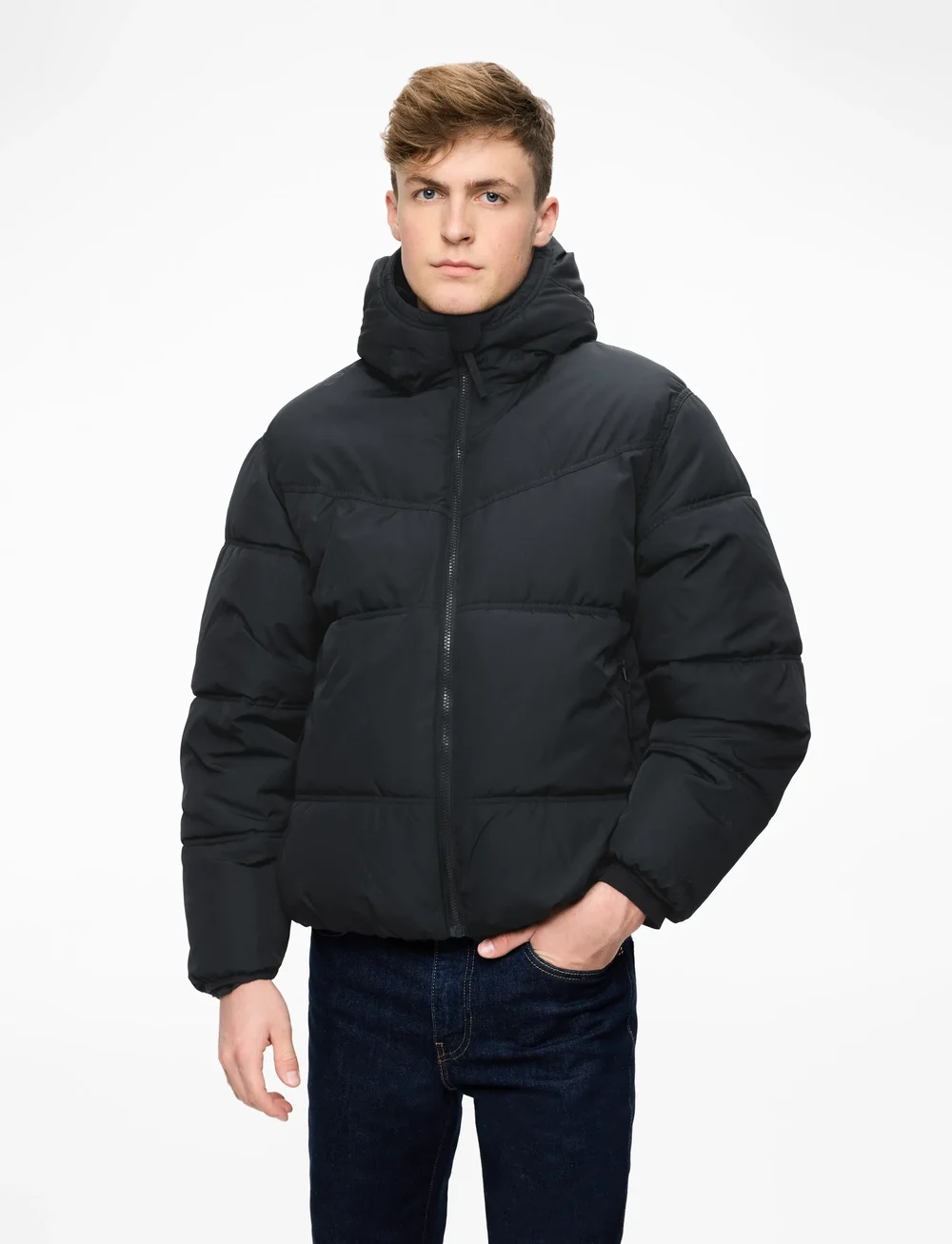 Hollister - HCo. GUYS OUTERWEAR - winterjacken - black beauty - 0