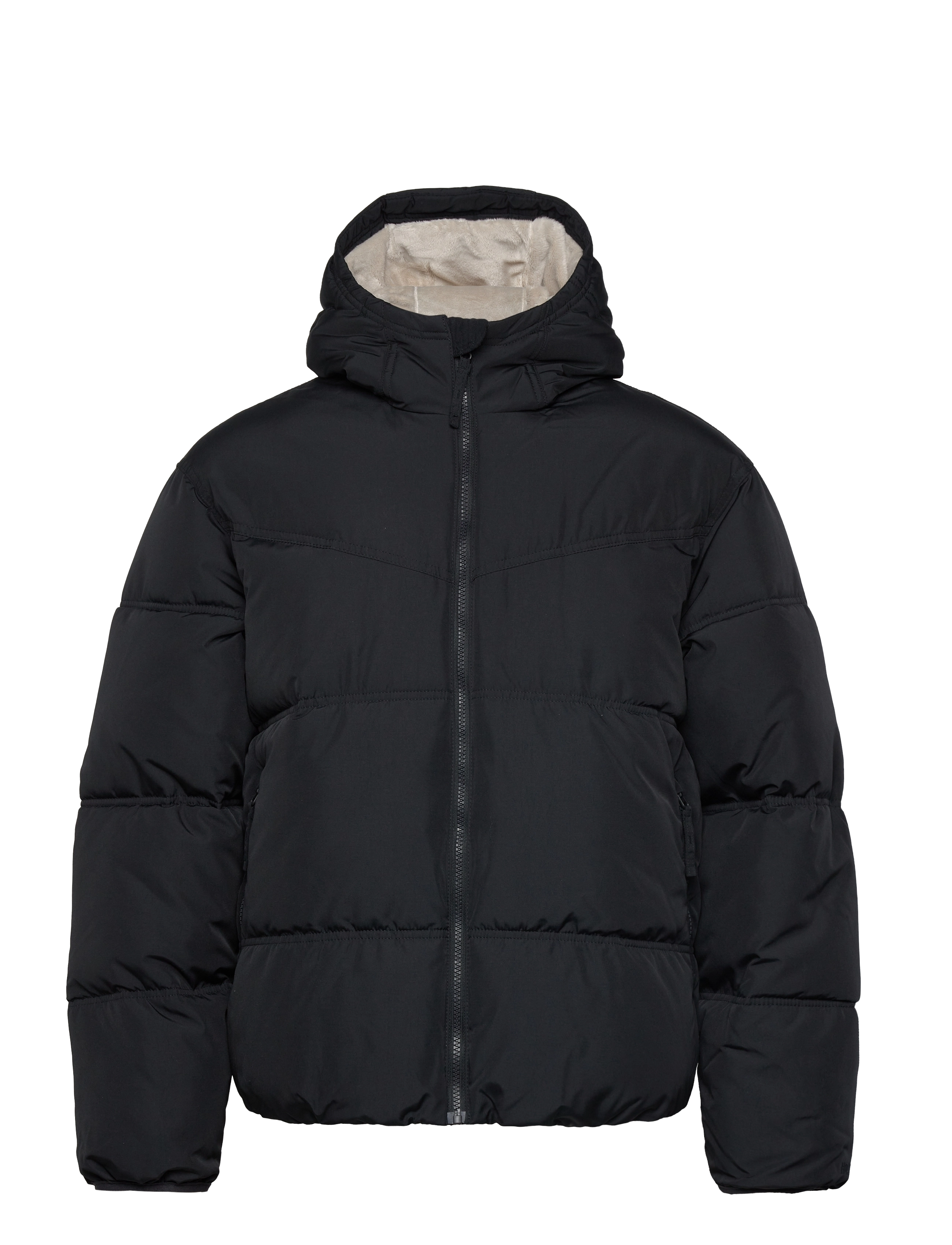 Hollister HCo. GUYS OUTERWEAR - Hollister - BLACK BEAUTY / black