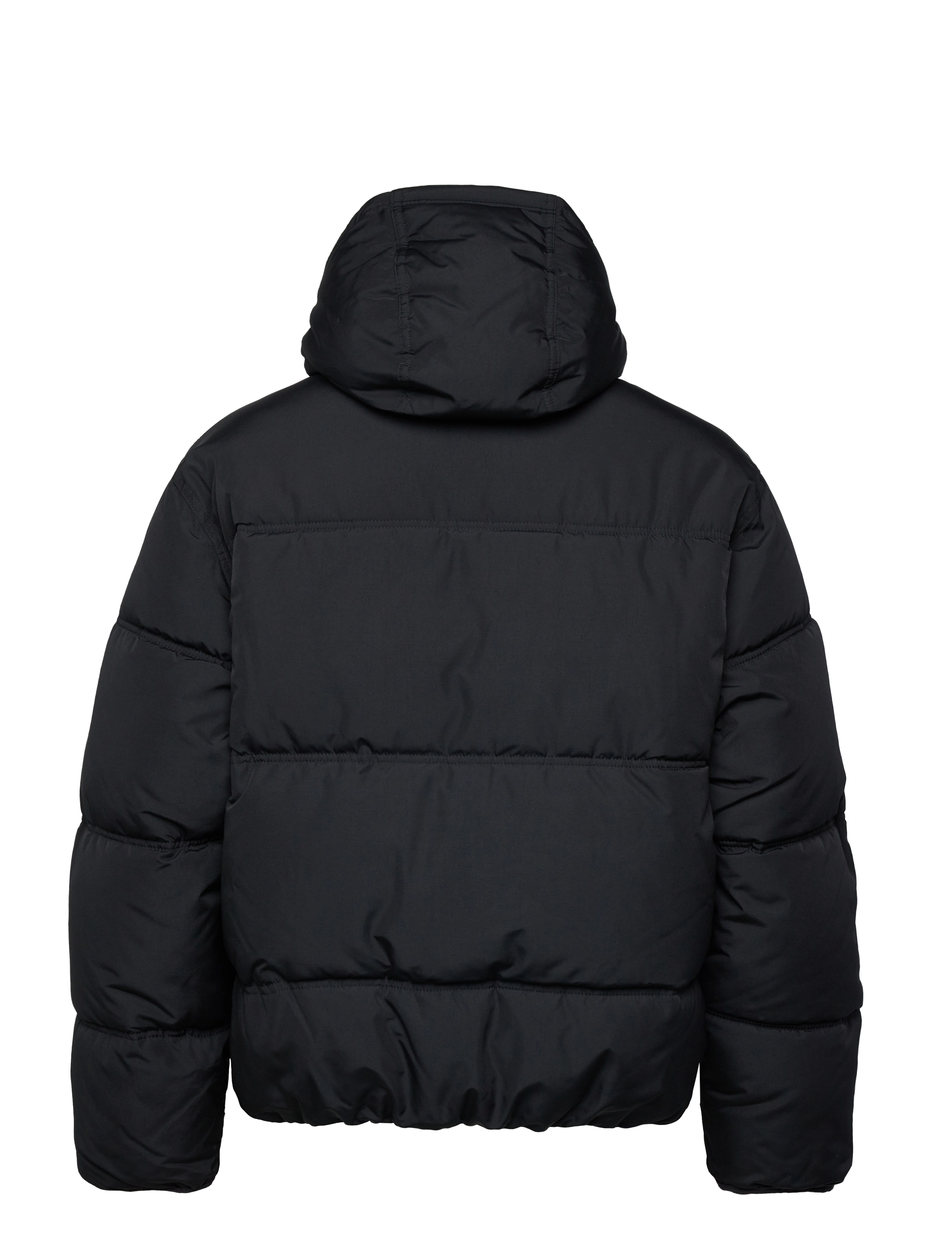 Hollister - HCo. GUYS OUTERWEAR - winterjacken - black beauty - 1