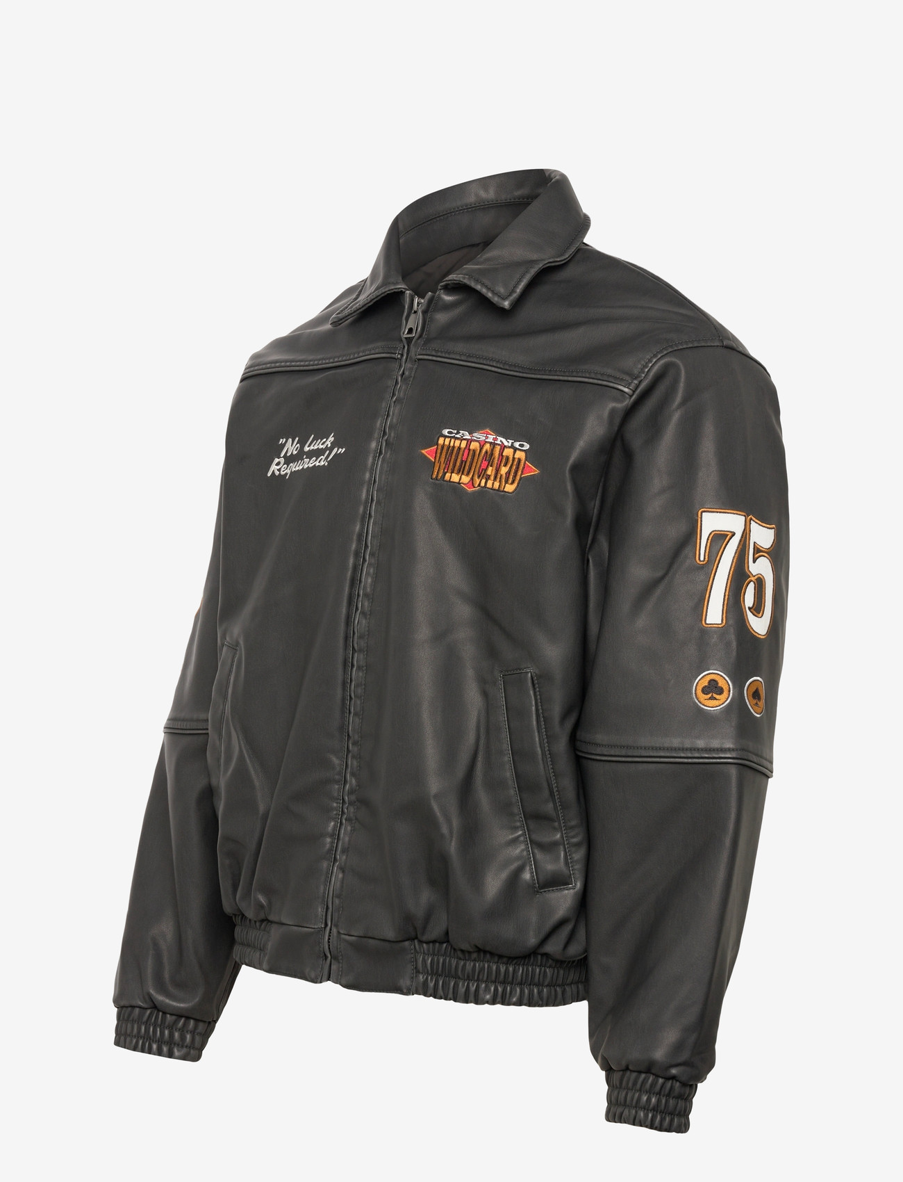 Hollister - CASINO FAUX LEATHER JACKET - herbstjacken - 900 - 2