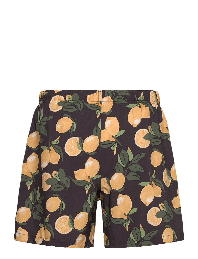 Hollister - HCo. GUYS SWIM - badshorts - 906 - 1