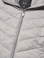 Hollister - HCo. GIRLS OUTERWEAR - down- & padded jackets - quiet grey - 2