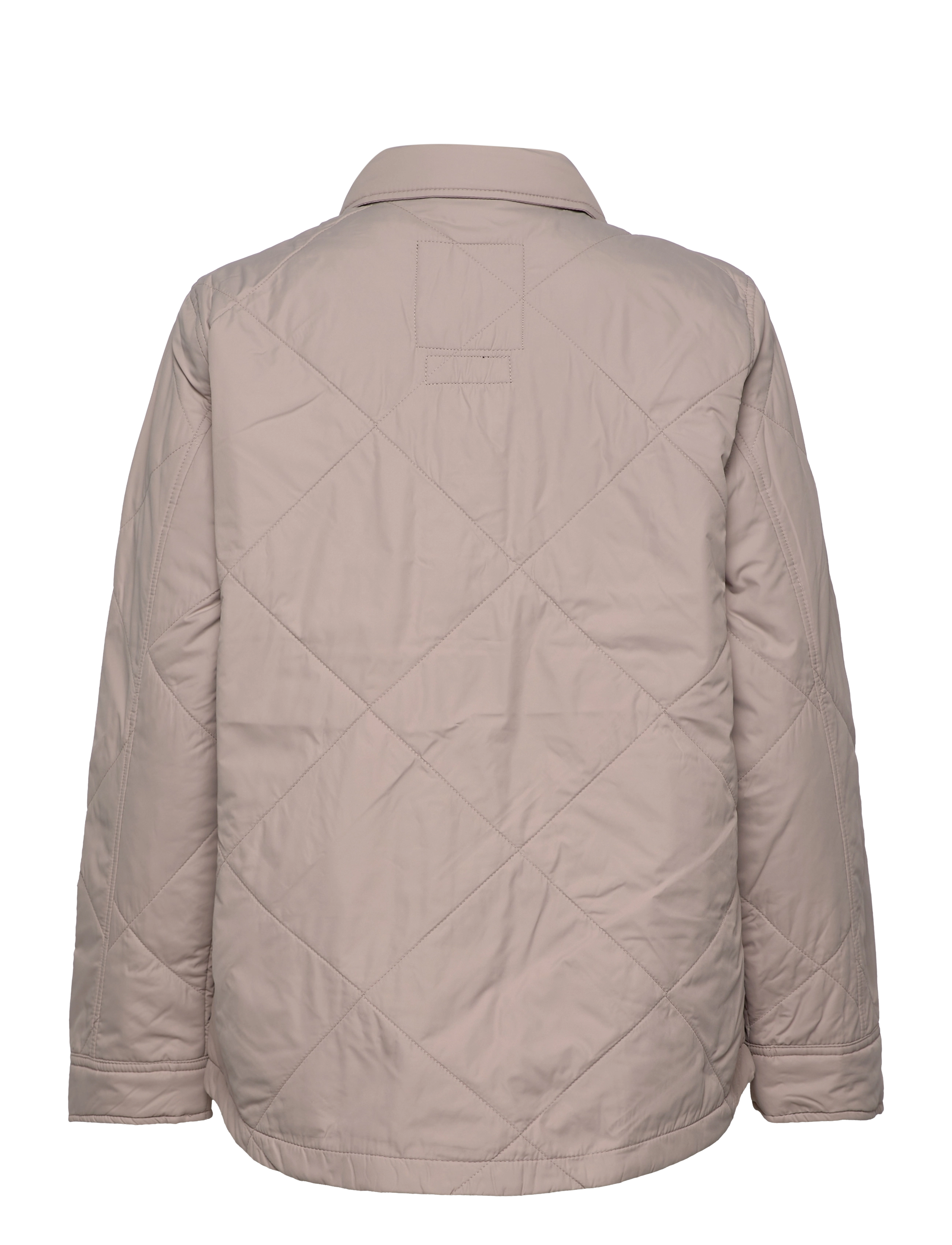 Hollister - HCo. GIRLS OUTERWEAR - frühlingsjacken - goat - 1