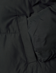 Hollister - HCo. GIRLS OUTERWEAR - winter jacket - black with cream hood - 3
