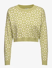 Hollister - HCo. GIRLS SWEATERS - jumpers - green floral geo - 0