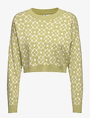 Hollister - HCo. GIRLS SWEATERS - strikkegensere - green floral geo - 0