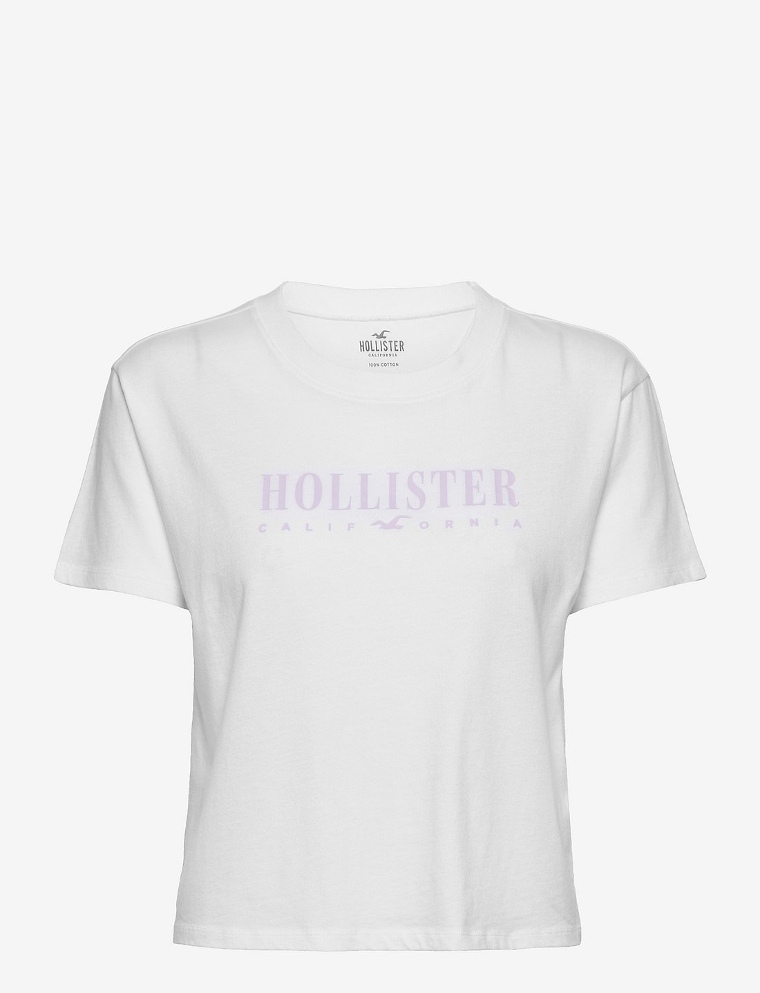 Hollister t shirts girl best sale