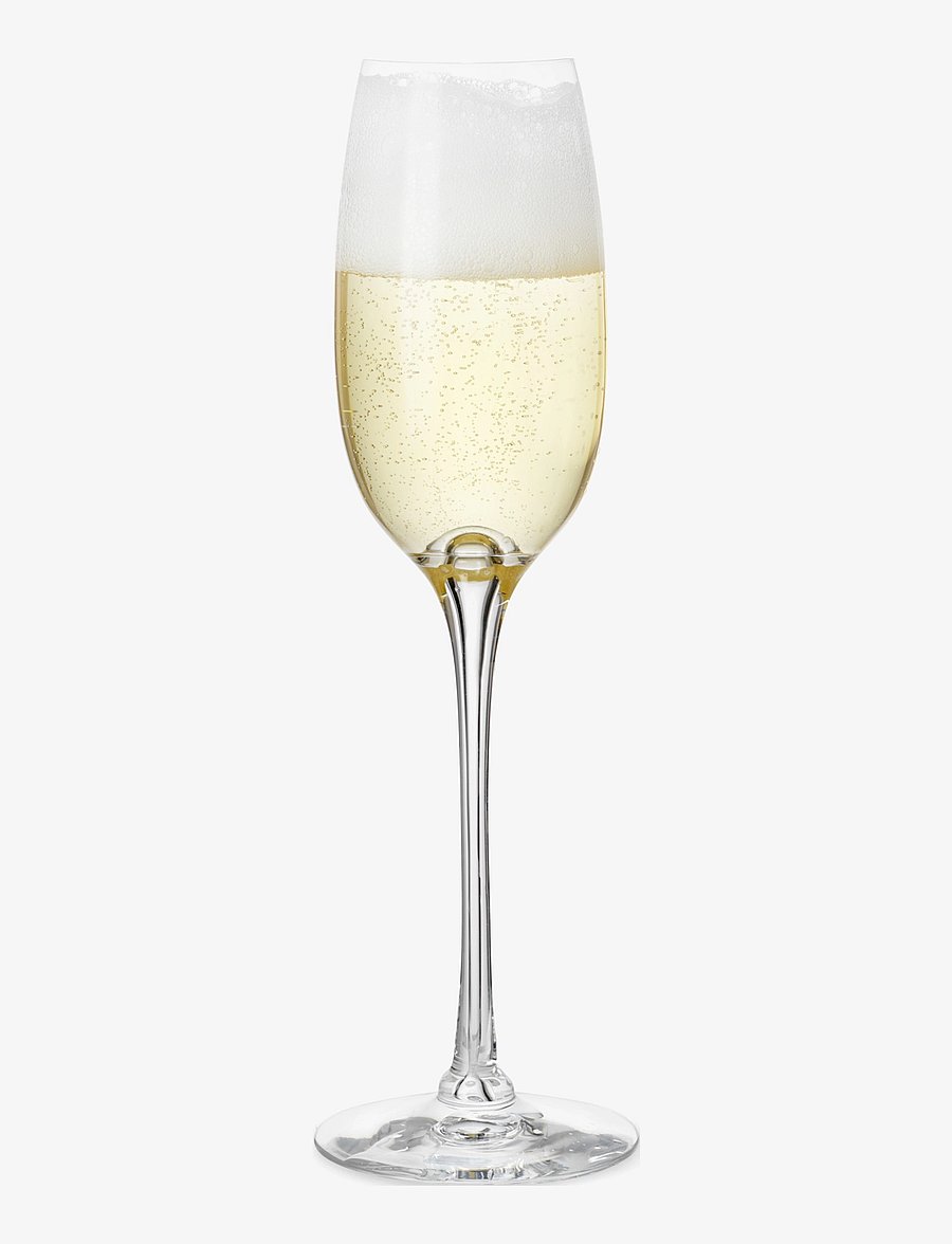 Holmegaard - Fontaine Champagne Glass 21 cl clear - clear - 1