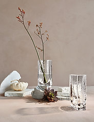 Holmegaard - Forma Vase H20 - store vaser - clear - 3