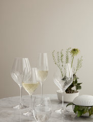 Holmegaard - Cabernet Lines Champagne Glass 29 cl 2 pcs. - najniższe ceny - clear - 2