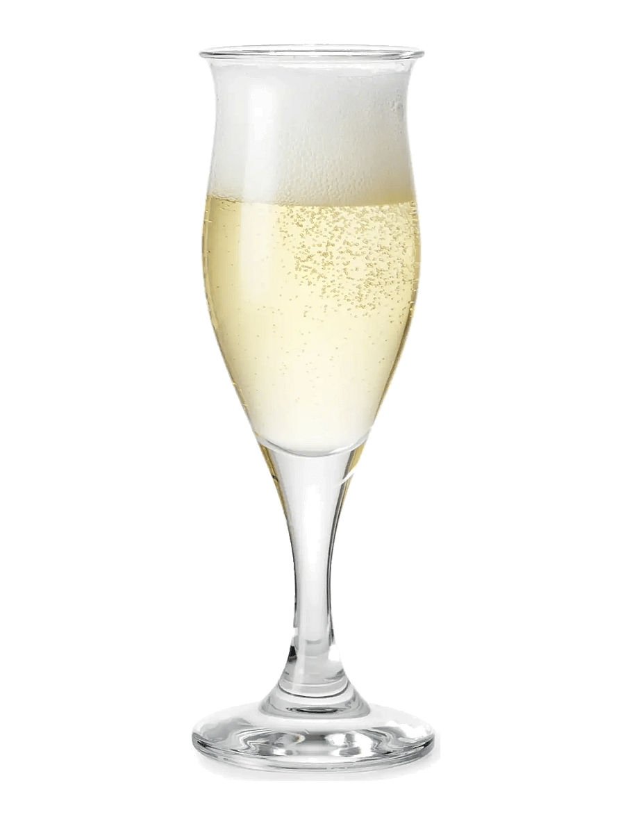 Holmegaard - Idéelle Champagne Glass 23 cl clear - kampavínsglös - clear - 1