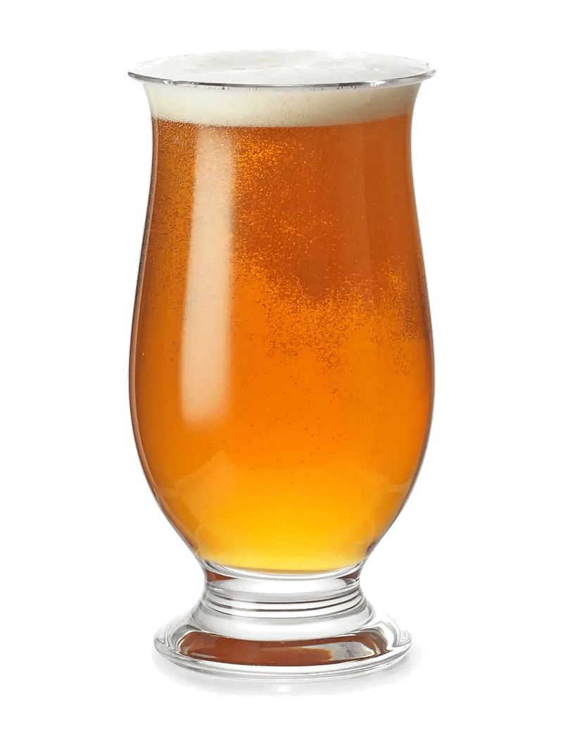 Holmegaard - Idéelle Beer Glass 25 cl clear - biergläser - clear - 0